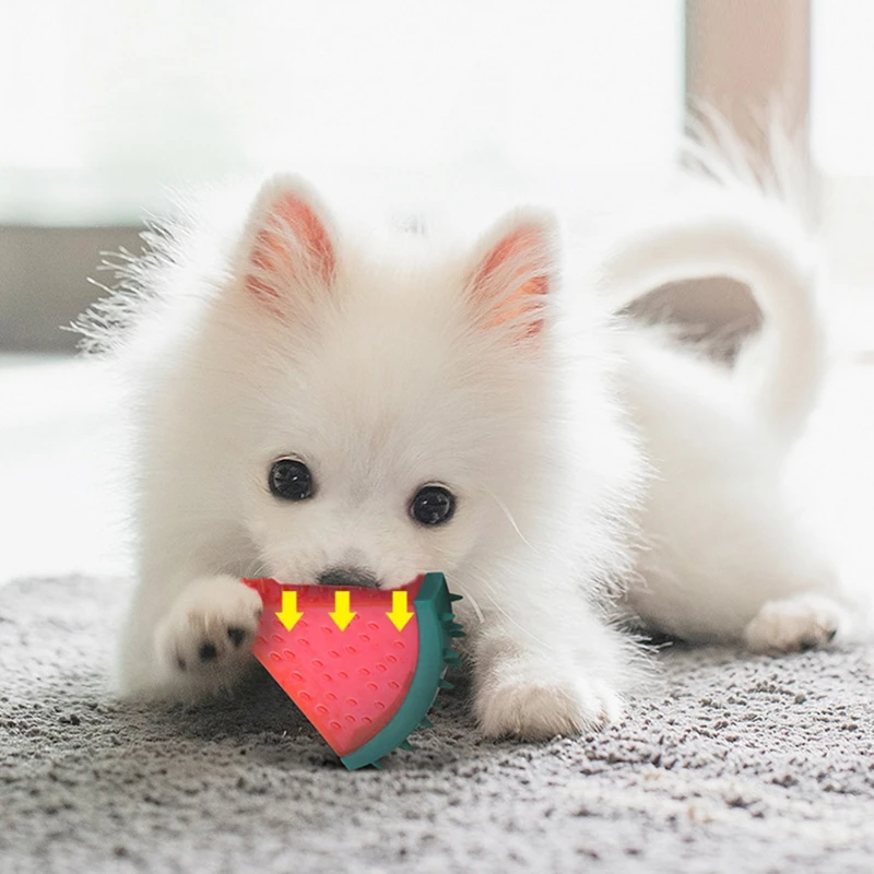 D7YE Dog Colorful Creative Molar Toys Food Grade TPR Non-toxic Pet Squeaker Balls Puppy Supplies | Дом и сад