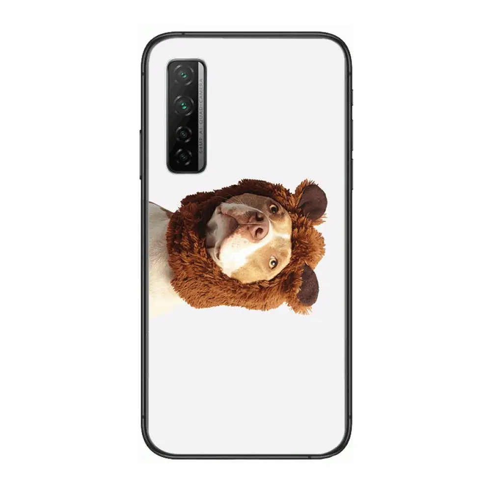 

Personality dress pet dog Fashionable and cute Phone Case For Huawei Nova 2 3 4 5 6 7 8 SE i E Pro Lite Black Etui Coque Painti
