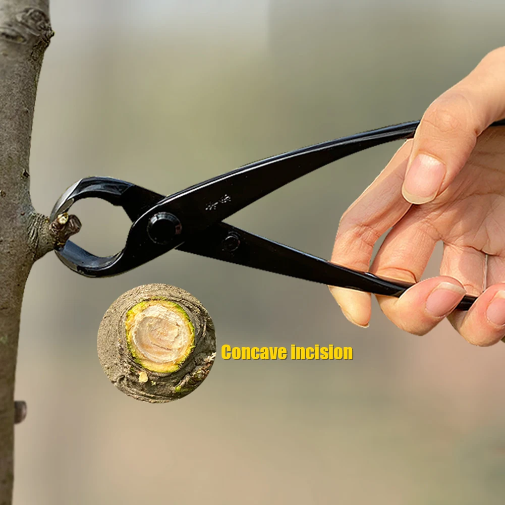 

210mm Gardening Styling Maintenance Tools Bonsai Ball Joint Shears Cutters Round Nose Pliers Potted Tree Knots Pruning Pliers