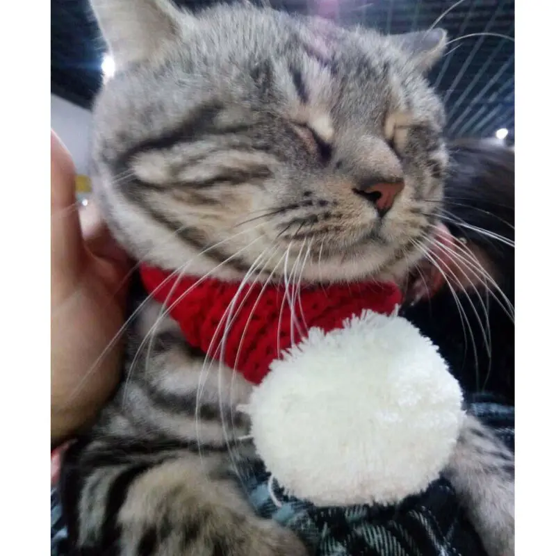 Собачий кошачий шарф Теплый Зимний вязаный для щенков кошек Регулируемый