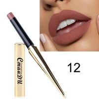 8 colors waterproof lipstick matte pumpkin color finished matte lipstick cosmetics easy to wear brown lip gloss makeup