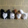 Изображение товара 0