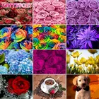 Картина для рисования по номерам на холсте, 60x75 см