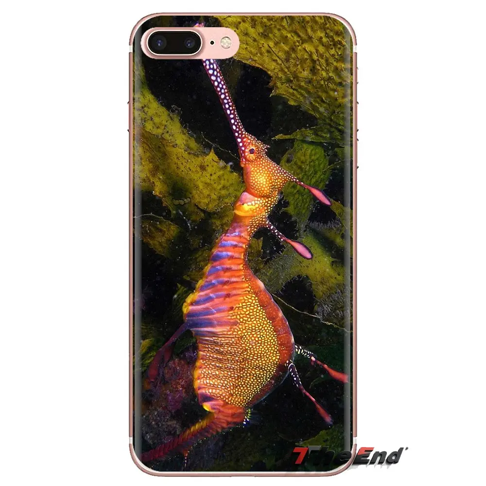Для Samsung Galaxy A3 A5 A7 A9 A8 звезда A6 плюс 2018 2015 2016 2017 в виде морского конька радужной