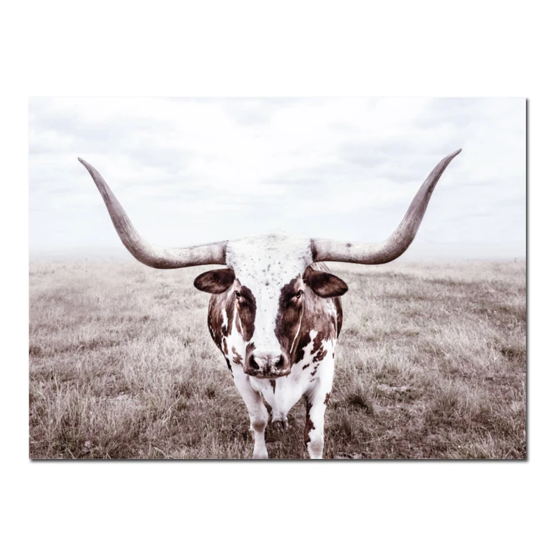 A494-1 Современная Скандинавская Картина на холсте Highland Cow плакат горный туман принт морской пейзаж стены Искусство детская картина бохо шик домашний декор - Цвет: A494-1