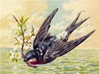 Алмазная 5D картина Ласточка, сделай сам, разместить по номерам, птицам, животным, картина из страз, подарок, мозаика для вышивки крестиком, подвеска для украшения дома
