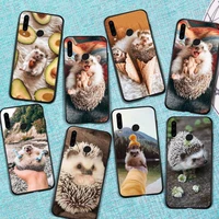 cute hedgehog phone case for huawei honor view 7a5 45inch 7c5 7inch 8x 8a 8c 9 9x 10 20 10i 20i lite pro