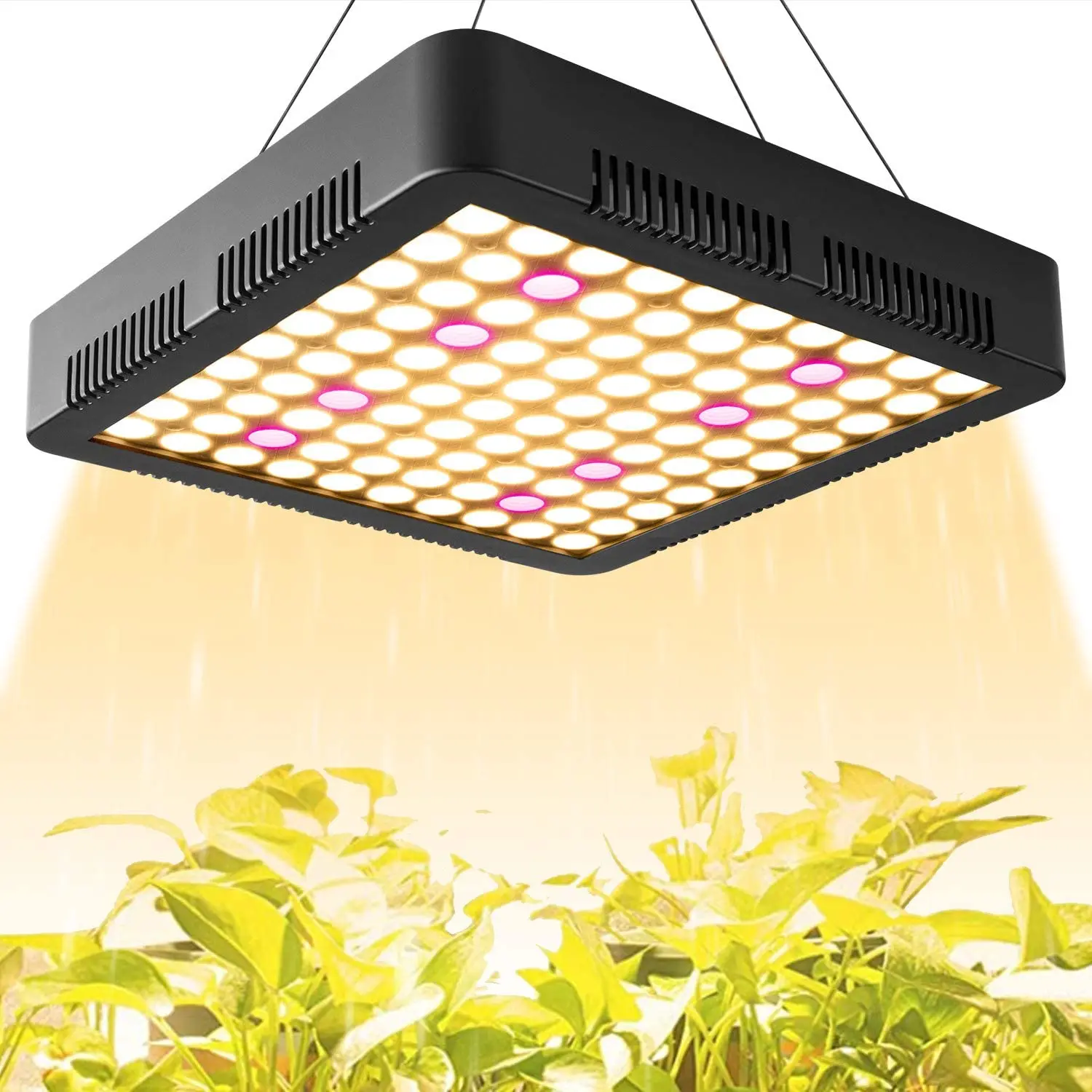 

Indoor Led 1000W 3500K Grow Light Panel Full Spectrum Phyto Lamp Flowers Plant Warm White Led Tent Hydroponic Vagtable Fruit