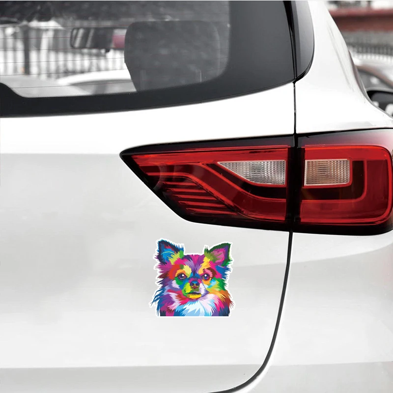 13 см x 11 8 для чихуахуа автомобильные наклейки с собаками Vinyl JDM Waterproof RV VAN Fine Decal 3D