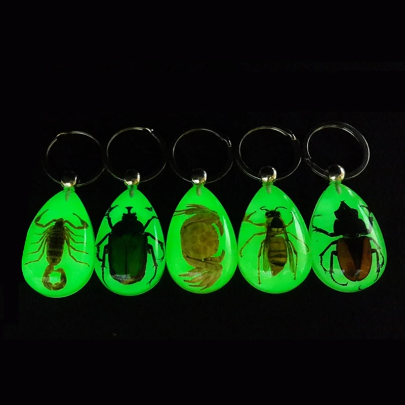 

2021 New Natural Glow-in-the-Dark Real Insect Keychain Beetle Animal Specimens Collecting