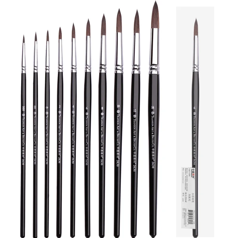 

Paint Brushes for Watercolor Squirrel mix Round long Handle