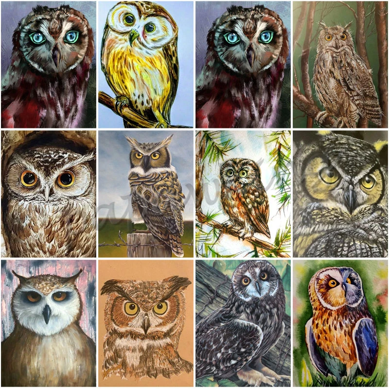 

Diamond Painting Owl Close-Up Picture 5D Diy Full Diamond Embroidery Cross Stitch Mosaic Kit Rhinestone Art Home Decoration Gift