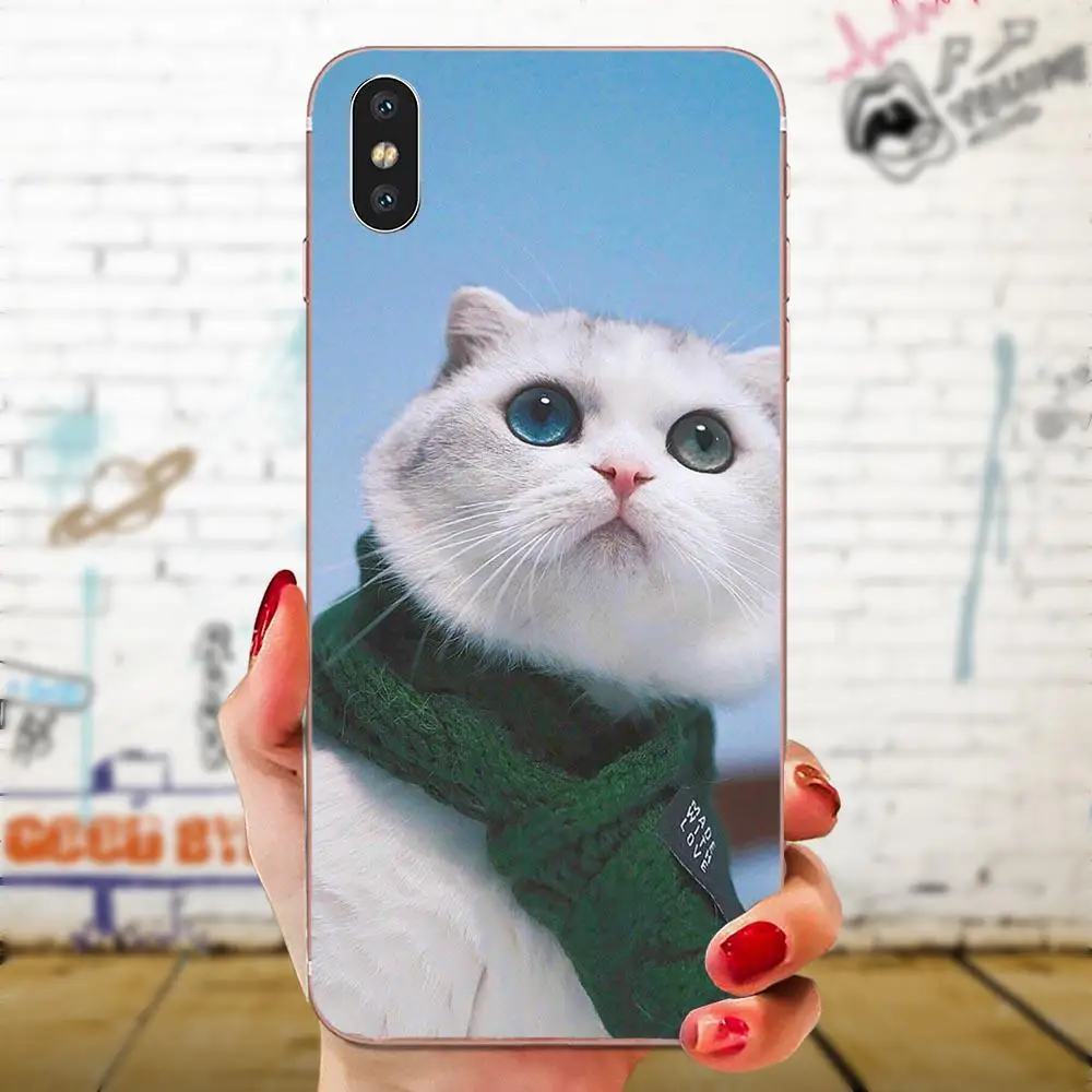Забавные ворс с изображением кота и пандой мягкие чехлы Чехол для Apple iPhone 4 4S 5 5C 5S SE