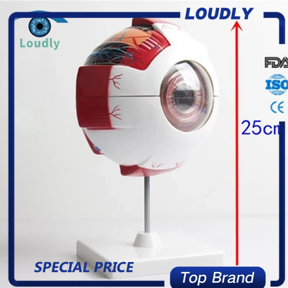 Громко брендовые Оптические Инструменты человеческого тела мини глаз