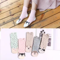 5 pairs autumn and winter cotton woman socks kawaii cute girl socks totoro cartoon lion dog cat penguin cow rabbit calcetines