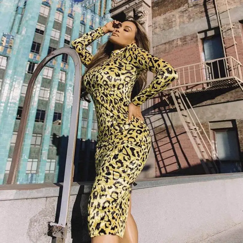 Women Sexy Vestidos Stand Neck Leopard Print Bodycon Long Sleeve Dress Party Club Midi | Женская одежда