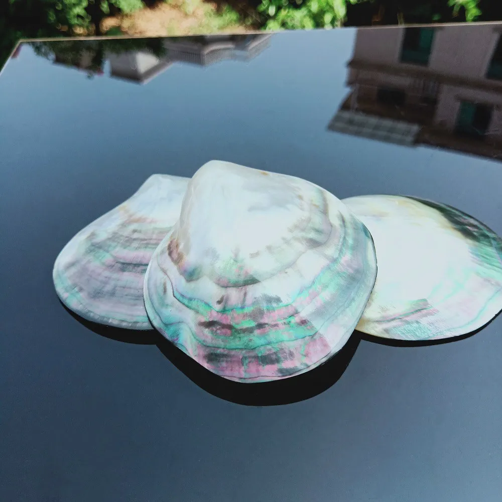 Натуральные ракушки черная швабра украшения сделай сам морские пляжные