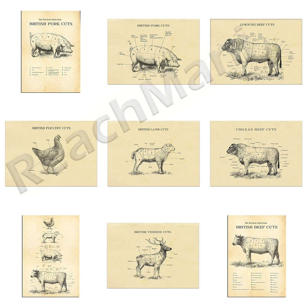 

British pork cuts, venison butchers, mutton butcher chart, beef cut Chile chart, cutting chart, kitchen series poster