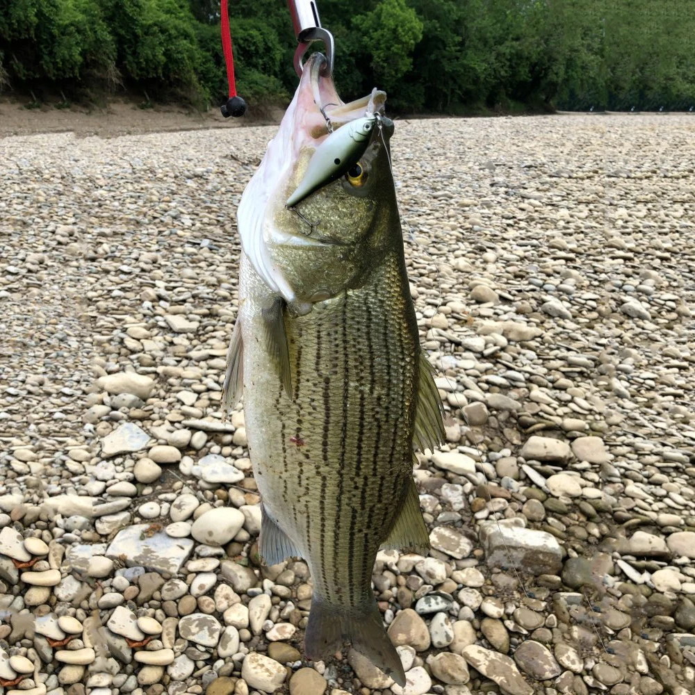 95мм 12 5g high simulation Hard рывок заманить тонущий Wobblers Crank jerkfishing снастей для Shad - купить