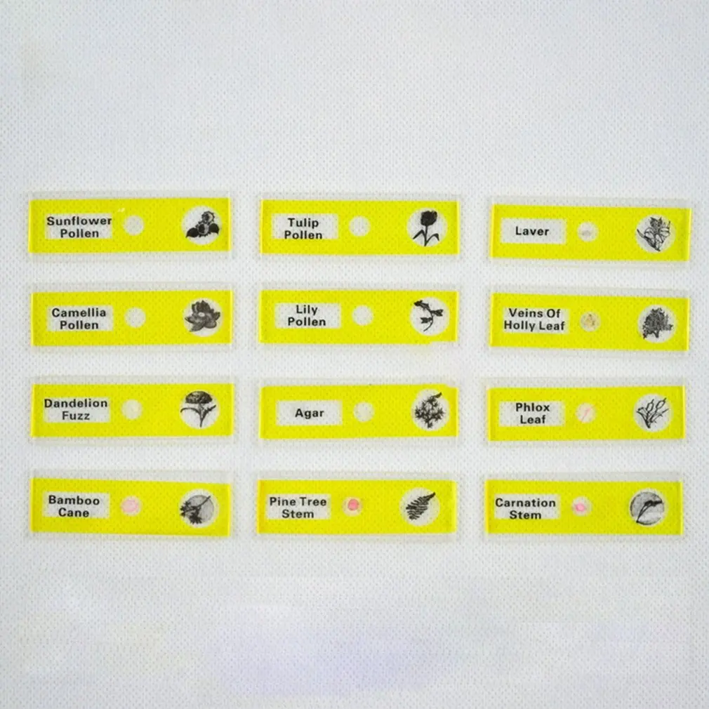 Моделирование биологической науки Hd микроскоп детская головоломка Раннее