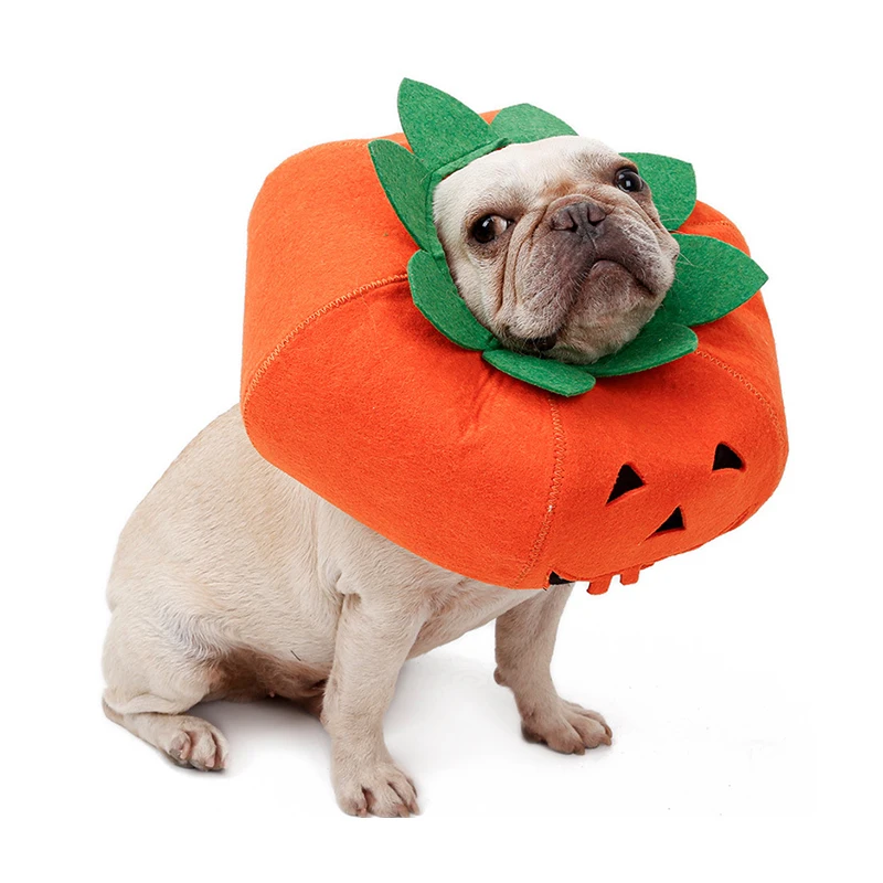 

Pet Collar Halloween Multifunction Pumpkin Dog Collar Fashionable Pet Dog Cat Halloween Party Spooky Transformation Decoration
