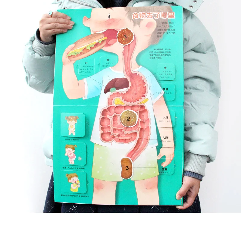 

Children's 3D Book Encyclopedia Of Human Body For Toddlers Our Body Books Pop-up Flip Manga Comic Kids Libros Livros Livres Art