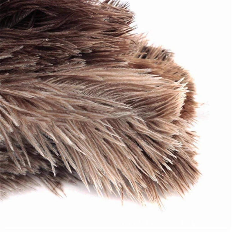 

Ostrich Cleaning Feather Duster Ostrich Duster Ostrich Feather Duster Soft Feathers Duster From Furniture To Fan Blades