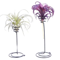 1pc mini decorative metal air plant pot stand container holder balcony decor for airplants tillandsia garden supplies 2 size