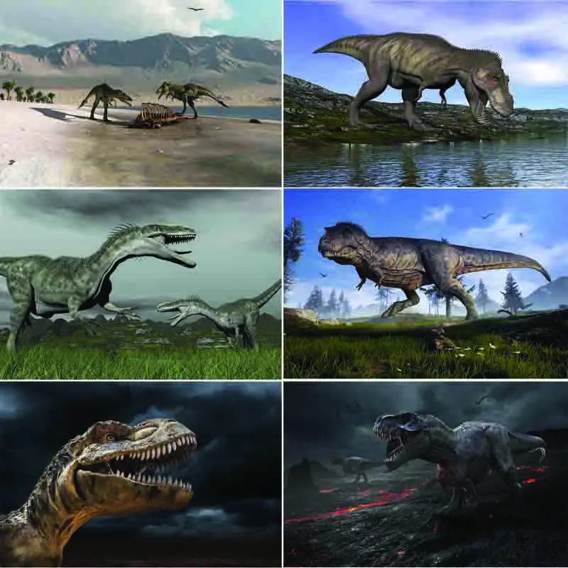 Виниловый фон для фотосъемки на заказ Реквизит День рождения + тема детской #0062 |