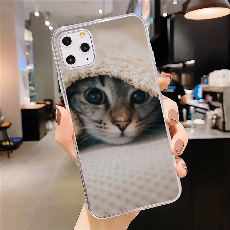

Lovely animal cat kitten Phone Case Transparent soft For iphone 5 5s 5c se 6 6s 7 8 11 12 plus mini x xs xr pro max
