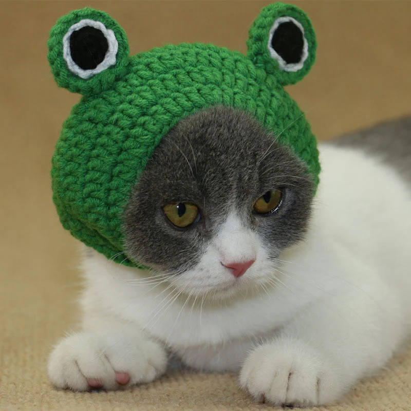 Новый головной убор для питомца шапки лягушки ручной вязки питомцев шапка