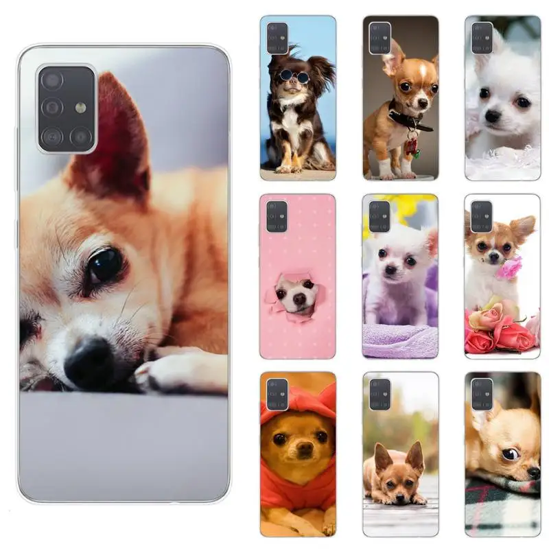 

Chihuahua dog puppy Phone Case For Samsung S5 S6 S7 S8 S9 S10 S20 plus lite A51 A71 A21S Transparent Cover