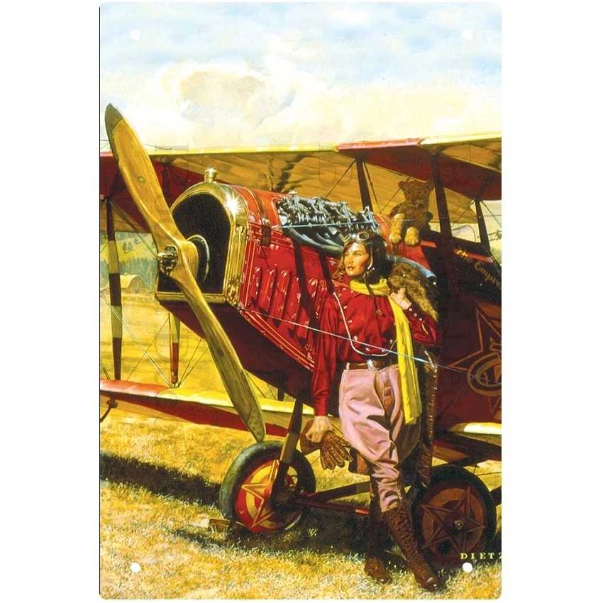 

Металлическая табличка самолет истребитель