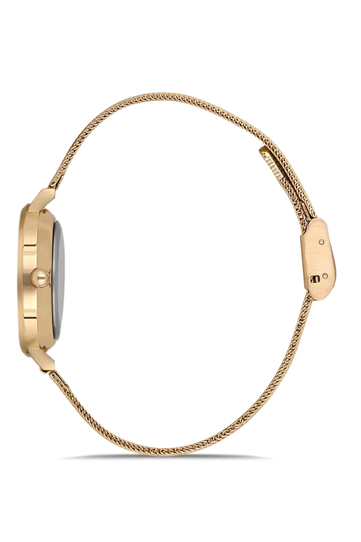 

Aqua Di Polo APWA036801 Steel Women Wrist watch