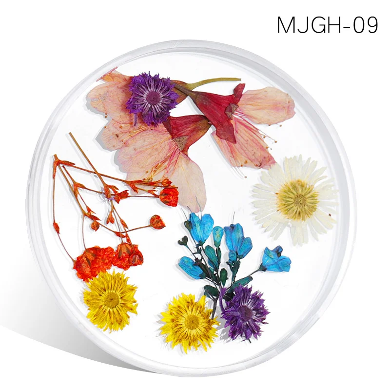 MJGH 09 Сушеные цветы, листья, украшения для ногтей, Микс, натуральный цветочный гипсофиловый стикер, 3D, сухая красота, наклейки для ногтей, УФ Гель-лак, маникюр - Цвет: MJGH 09