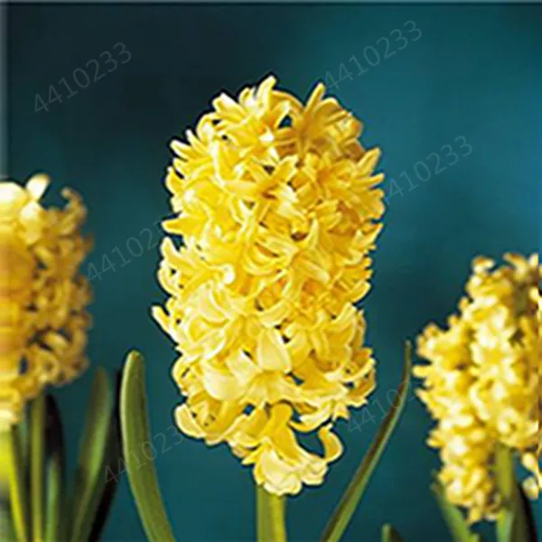 200 шт. искусственный гиацинт|Цветочные горшки и кадки| |