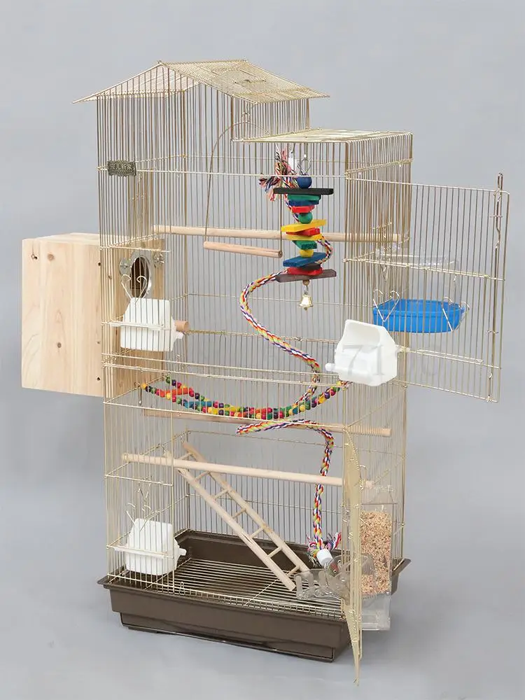 Оцинкованная Золотая фотография | Дом и сад