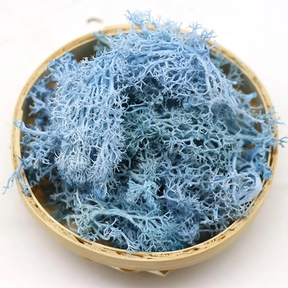 1 упаковка искусственных растений мох для вечной жизни Декор украшение дома и