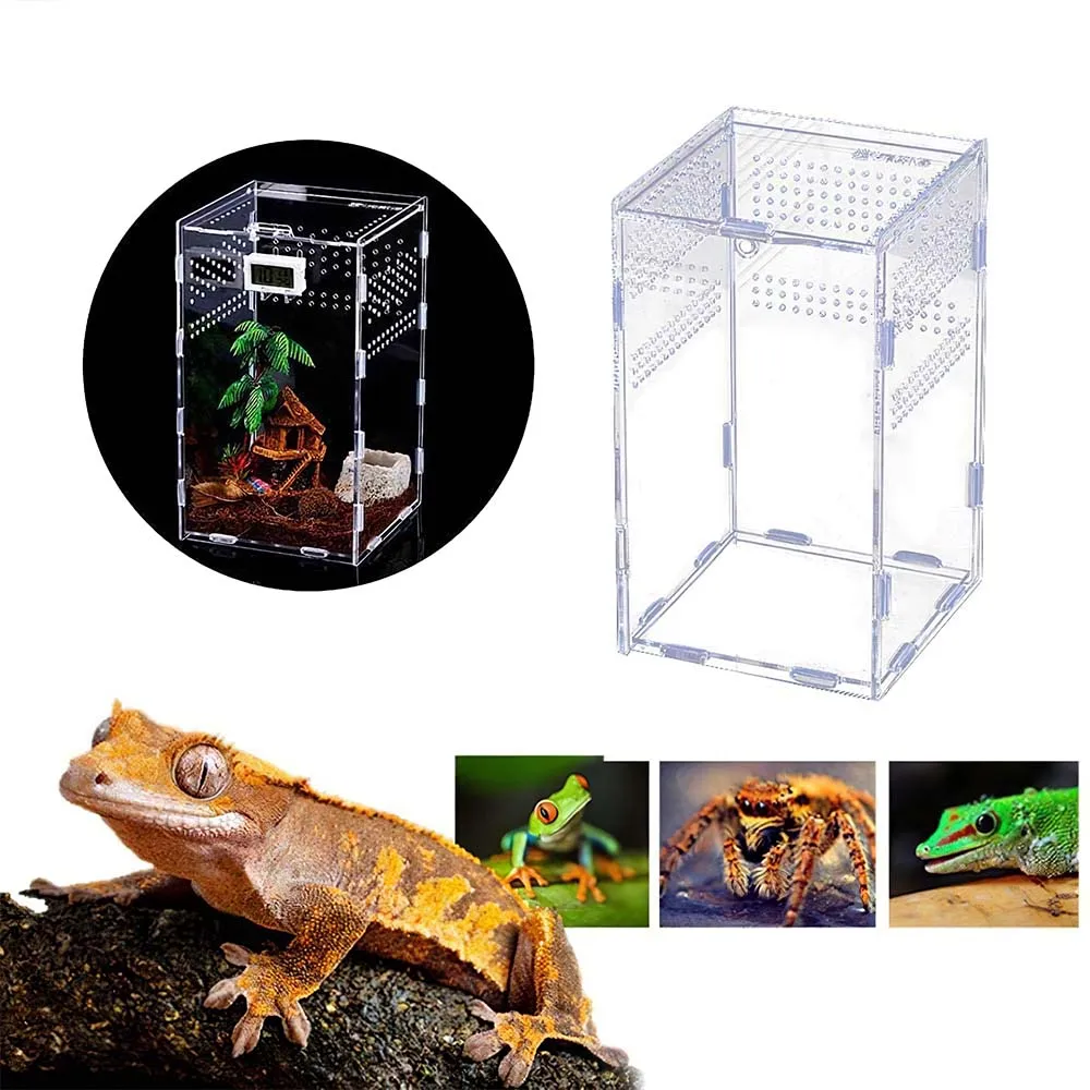 

Feeding Box Reptile Cage Hatching Container Rearing Tank For Lizards Terrarium Tortoise Spider Beetle Insect House
