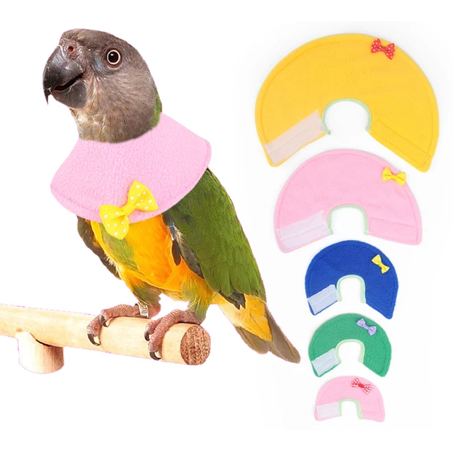 Parrot Collar Recovery Collar Anti-Biting Pecking Injury Elizabeth Protective Collar For Birds Cloak Pets Warm Clothes 1