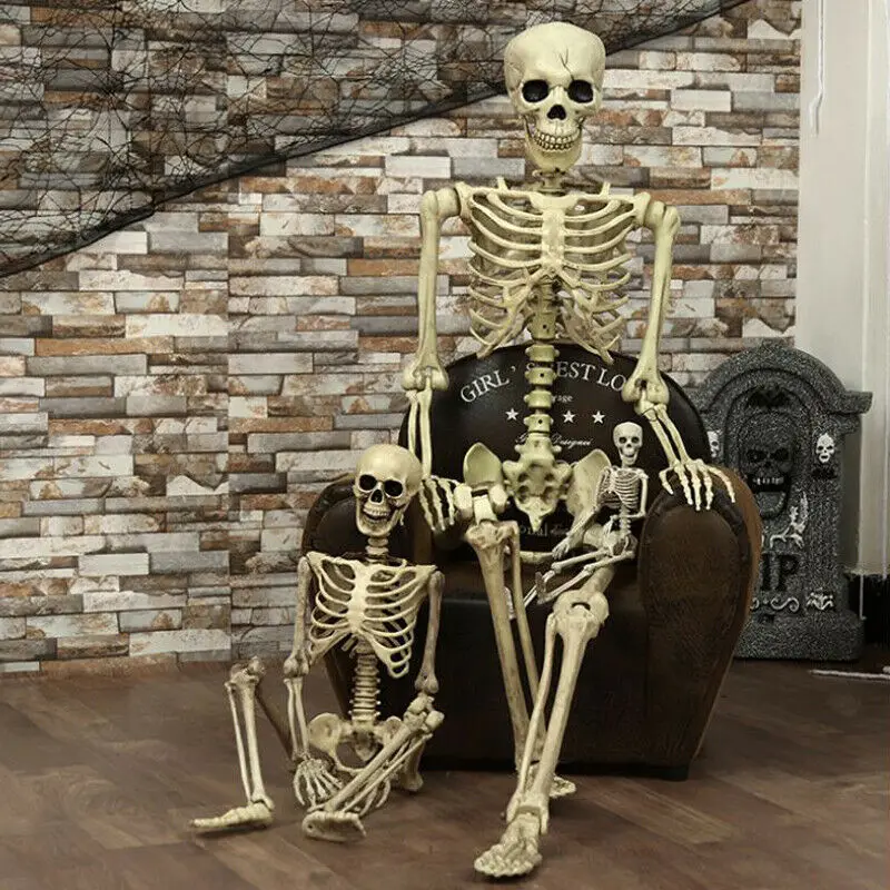 Halloween Prop Human Skeleton Full Size Skull Hand Life Body Anatomy Model Decor | Дом и сад