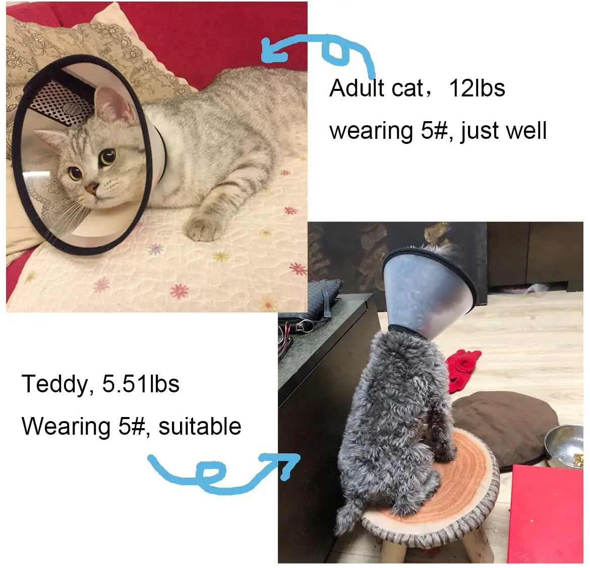 

Adjustable Recovery Pet Cone Collar for Cats Puppy Rabbit Plastic Elizabeth Protective Collar Wound Healing Practical Neck Cover