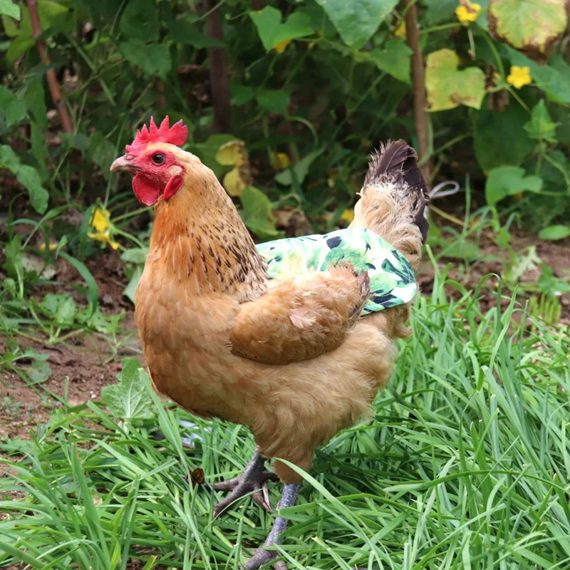 

2PCS Adjustable Pet Hen Apron Poultry Hen Saddle Apron Feather Protection Holder Chicken Duck Wings Back Protector