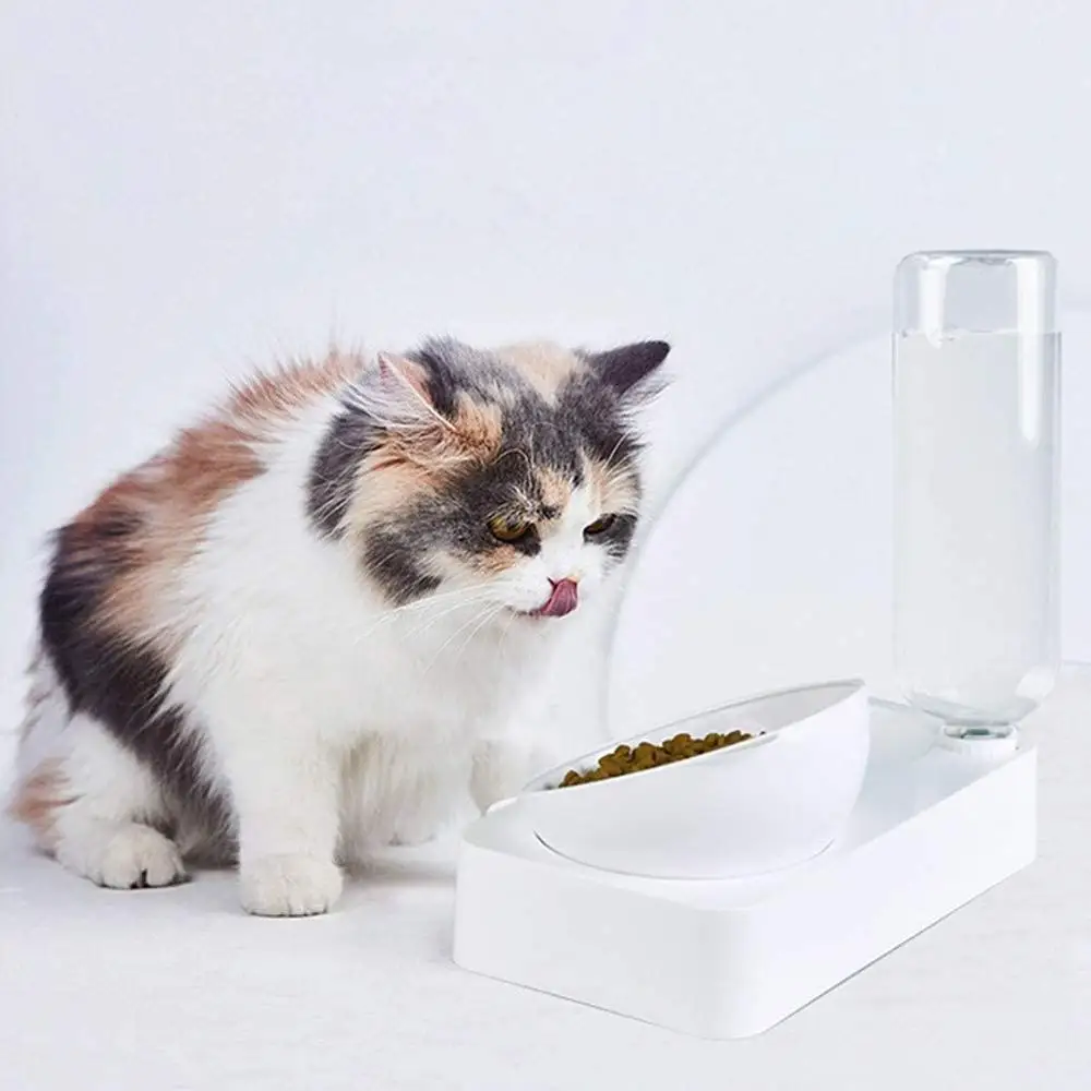 

Pet Bowl Automatic Water Feeder with Water Dispenser Oblique Bowl With Holder Pet Supplies