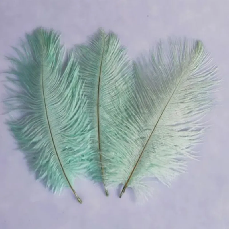 Mint green 10 шт. натуральные страусиные перья 15-20 см/6-8 дюймов Свадебные украшения вечерние торжественные реквизиты - Цвет: Mint green