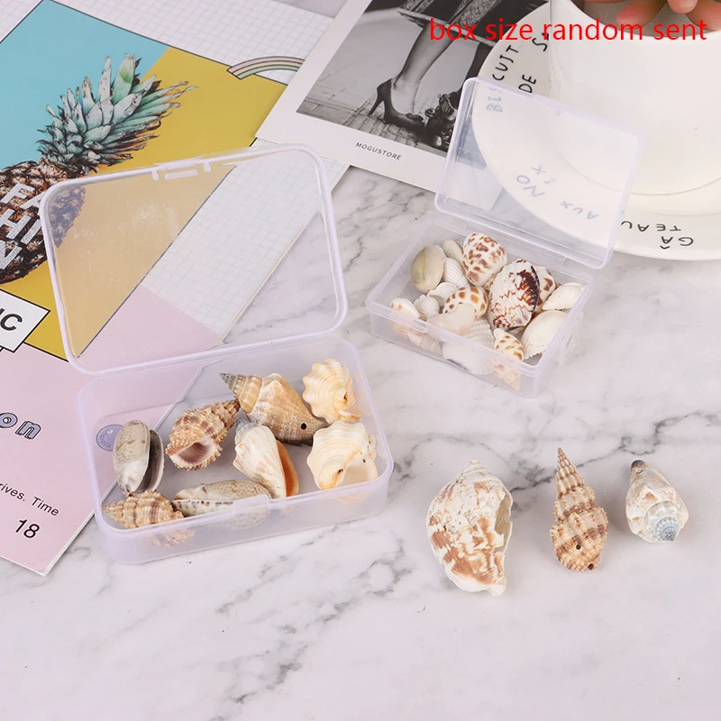 

Natural Conch Shells Mini Conch Corn Screw Wall Decoration DIY Aquarium Landscape Seashells Crafts/party Decor About 30-40g
