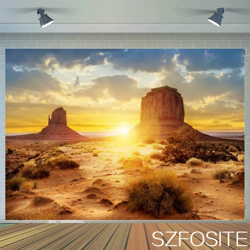 

Photography Photo Summer Sunset Desert Beautiful Scenic Theme Backdrop Family Room Wall Decorate Kids Custom Vinyl Background