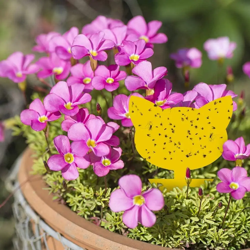 

12PCS Sticky Fruit Fly Gnat Trap Yellow Sticky Bug Traps Insect Catcher For Indoor/Outdoor Use