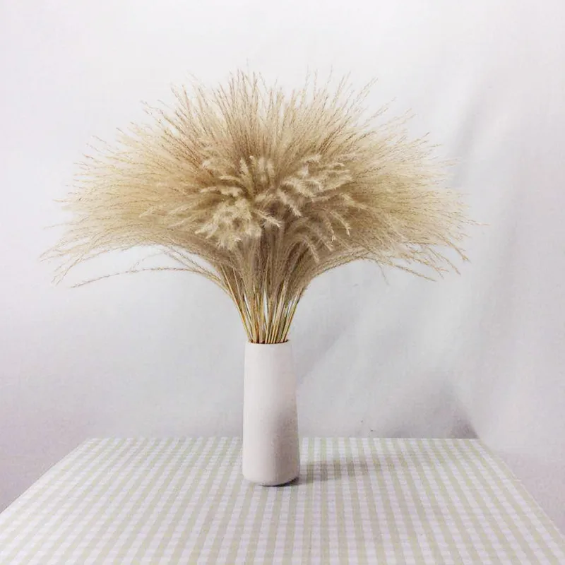 Натуральные пампасы трава Декор цветы сушеные растения свадьба букет Рождество