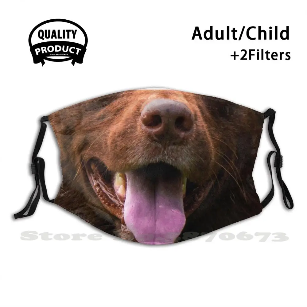 

Chocolate Labrador Mask Face Mask With Filter Retriever Dog Doggy Labrador Lab Woof Animal Tongue Smile Chocolate Bear